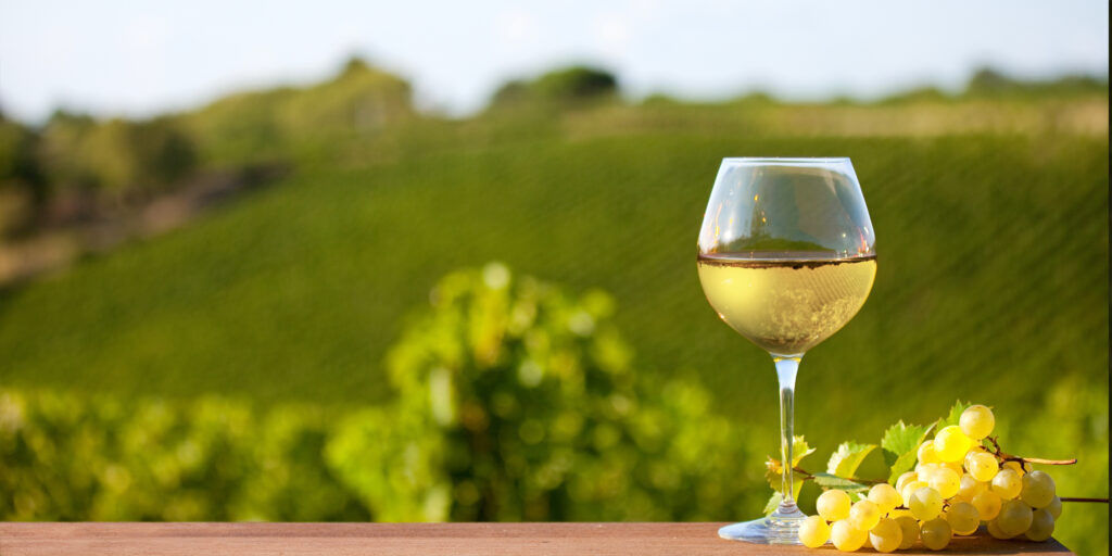 Verre de vin blanc et vignoble en France. ©Thierry RYO - adobe.stock.com https://stock.adobe.com/de/images/verre-de-vin-blanc-et-vignoble-en-france/312675003?prev_url=detail